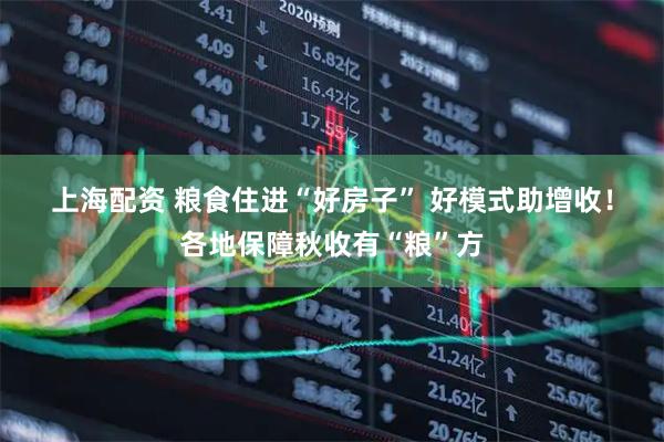 上海配资 粮食住进“好房子” 好模式助增收！各地保障秋收有“粮”方